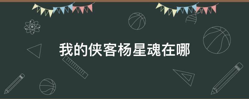 我的侠客杨星魂在哪 我的侠客杨星魂位置