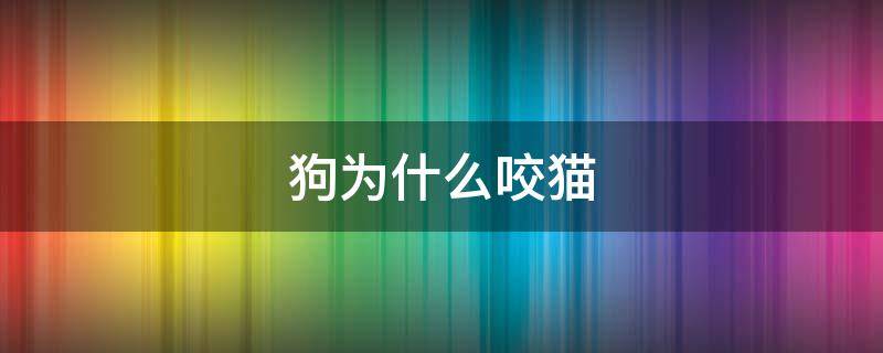 狗为什么咬猫 狗为什么咬猫童话故事