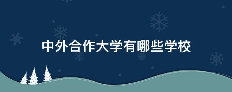 中外合作大学有哪些学校（中外合作大学有哪些学校以及录取分数）