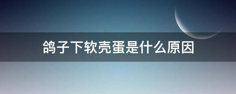 鸽子下软壳蛋是什么原因 鸽子下软壳蛋怎么办