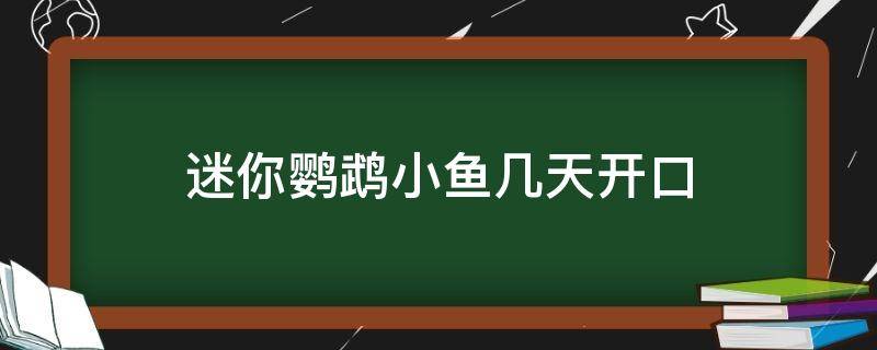 迷你鹦鹉小鱼几天开口 迷你鹦鹉小鱼多久开口