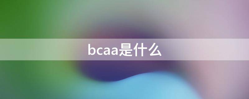 bcaa是什么（bcaa是什么补剂）