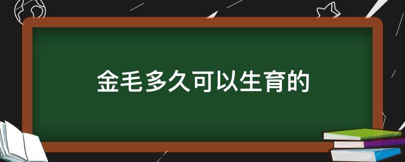 金毛多久可以生育的（金毛怀孕几个月能生）