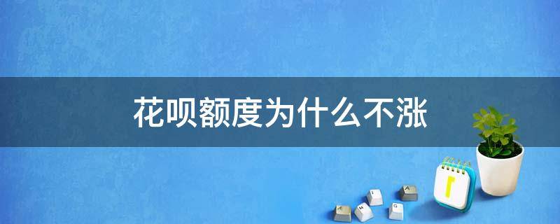 花呗额度为什么不涨 我花呗额度为什么不涨