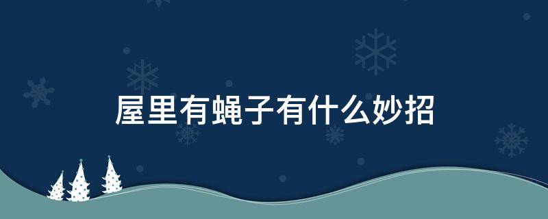 屋里有蝇子有什么妙招 家里好多蝇子有什么办法可以解决