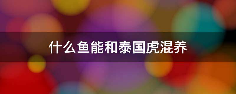 什么鱼能和泰国虎混养 泰国虎鱼混养鱼最佳搭配