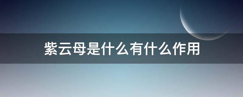 紫云母是什么有什么作用 紫云母的功能和作用