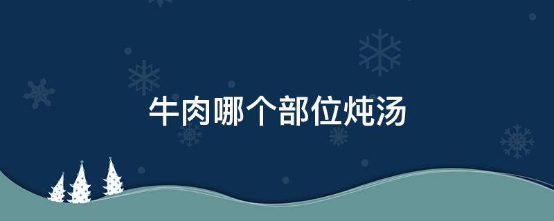 牛肉哪个部位炖汤 牛肉哪个部位炖汤最嫩