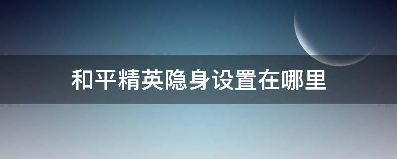 和平精英隐身设置在哪里 和平精英咋设置隐身