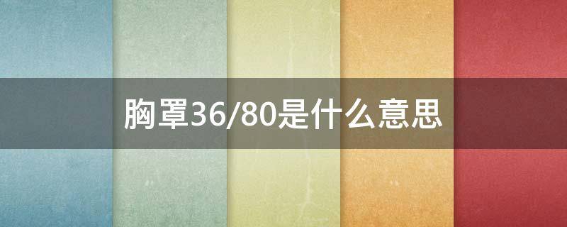 胸罩36/80是什么意思（胸罩3680是什么意思是多大）