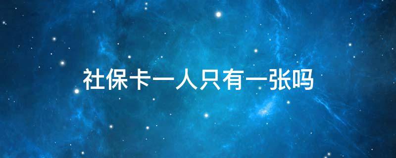 社保卡一人只有一张吗 一人只有一张社保卡吗?