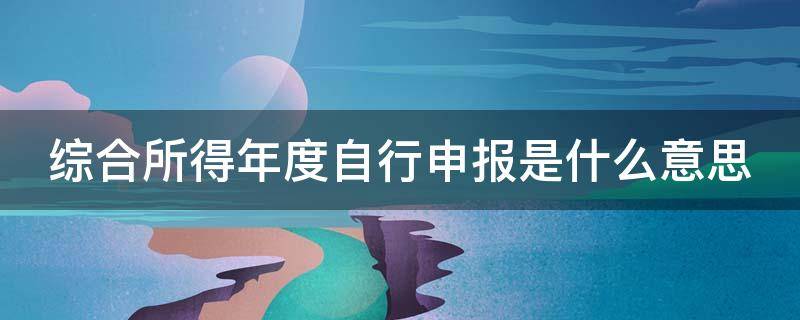 综合所得年度自行申报是什么意思 赡养老人综合所得年度自行申报是什么意思