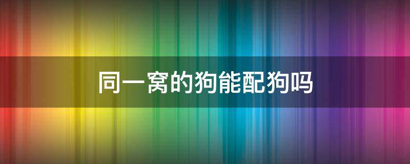 同一窝的狗能配狗吗（同一窝狗狗可以配狗吗）