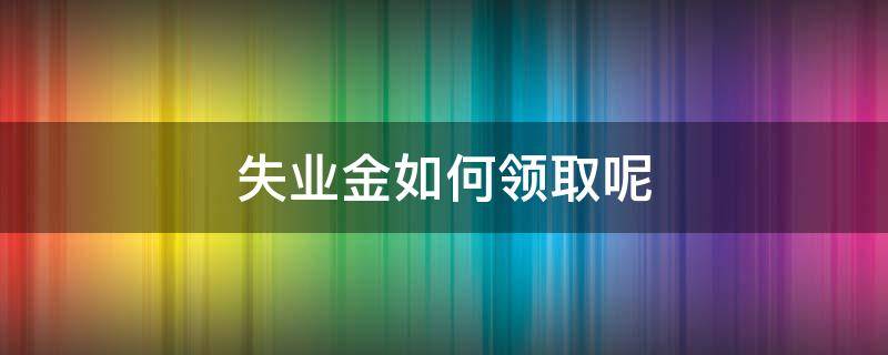 失业金如何领取呢（失业金怎能领取）