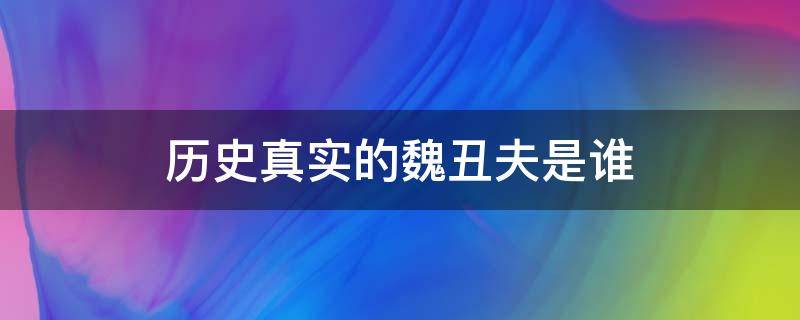 历史真实的魏丑夫是谁 魏丑夫历史上是什么人物