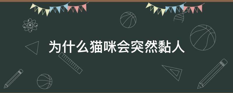 为什么猫咪会突然黏人（猫为什么有时候突然粘人）