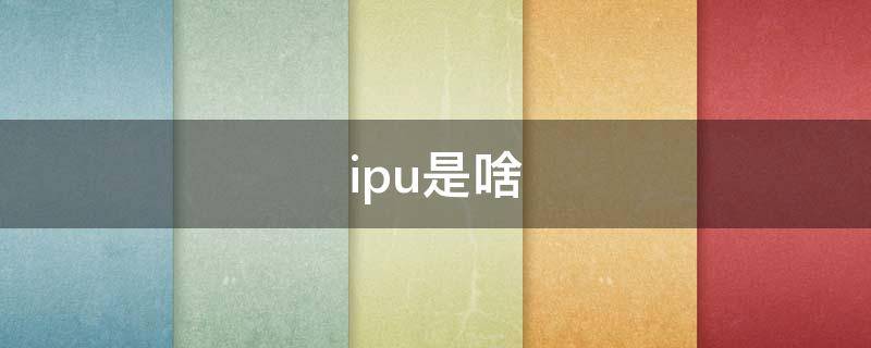 ipu是啥 ipu是啥意思