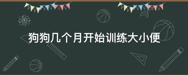 狗狗几个月开始训练大小便（小狗几个月可以训练大小便）