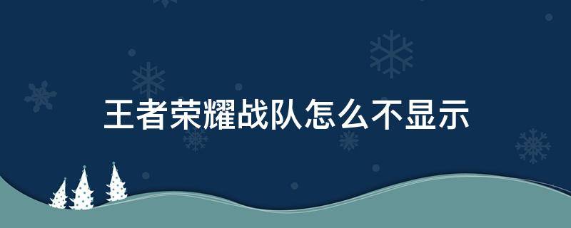 王者荣耀战队怎么不显示（王者荣耀战队怎么不显示二维码）