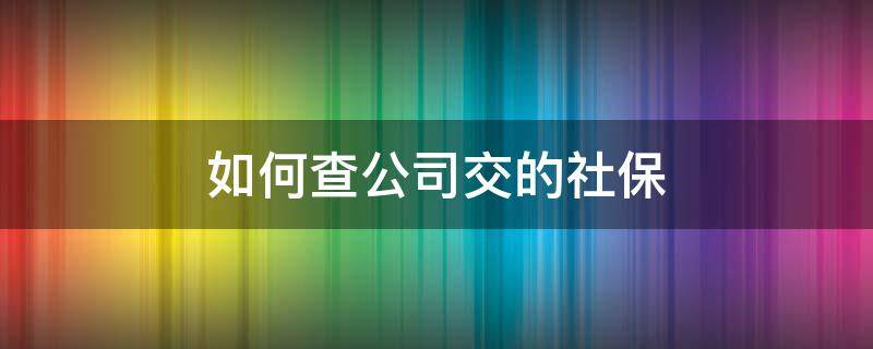 如何查公司交的社保（如何查公司交的社保是哪个银行的）