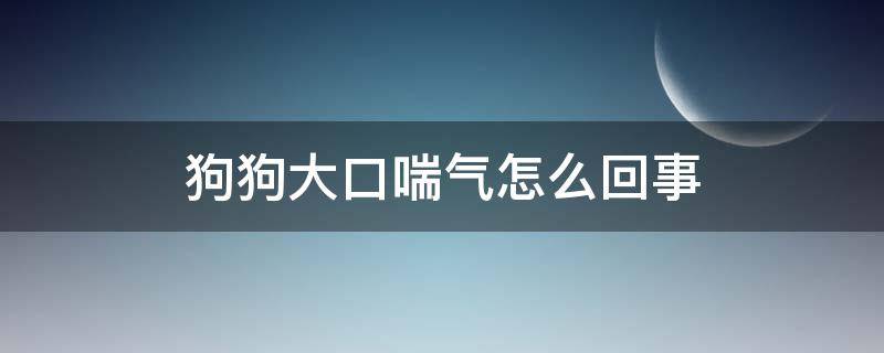 狗狗大口喘气怎么回事 狗狗大口喘气怎么回事,呼吸急促,弯腰