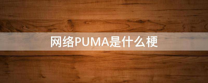 网络PUMA是什么梗 puma男是什么梗