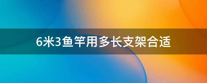 6米3鱼竿用多长支架合适（6米3鱼竿配多长的支架最合适）