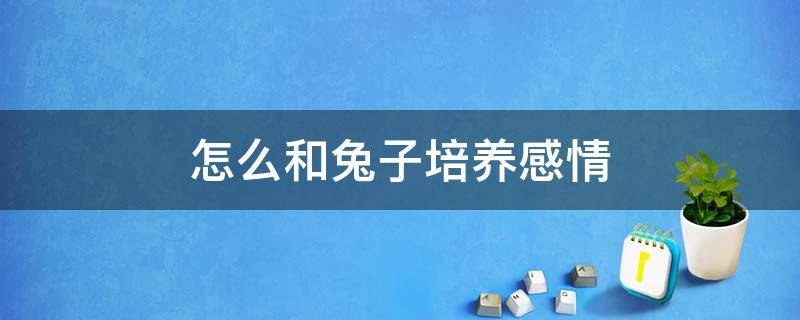 怎么和兔子培养感情 怎么和兔子培养感情兔子讨厌主人什么表现?