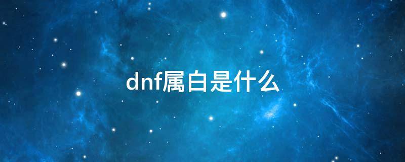 dnf属白是什么 dnf属白是什么词条