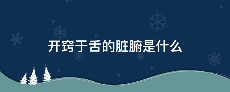 开窍于舌的脏腑是什么（按照中医理论开窍于舌的脏腑是什么）