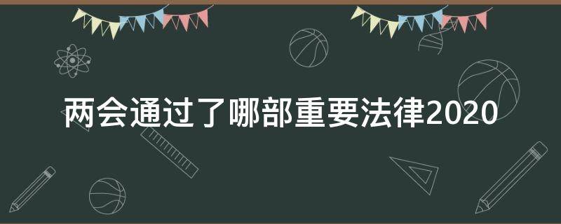 两会通过了哪部重要法律2020（2020年两会审议通过了两部重要法律,它们分别是）