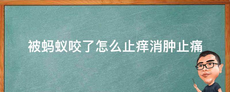 被蚂蚁咬了怎么止痒消肿止痛 被蚂蚁咬了消肿止痒小妙招