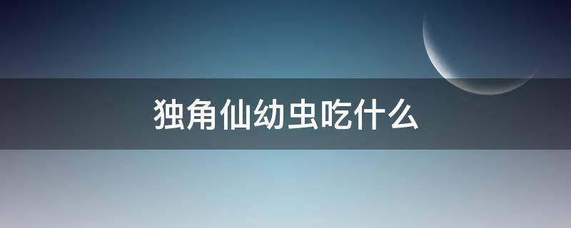 独角仙幼虫吃什么 独角仙幼虫吃什么食物