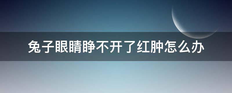 兔子眼睛睁不开了红肿怎么办 兔子眼睛红肿怎么回事