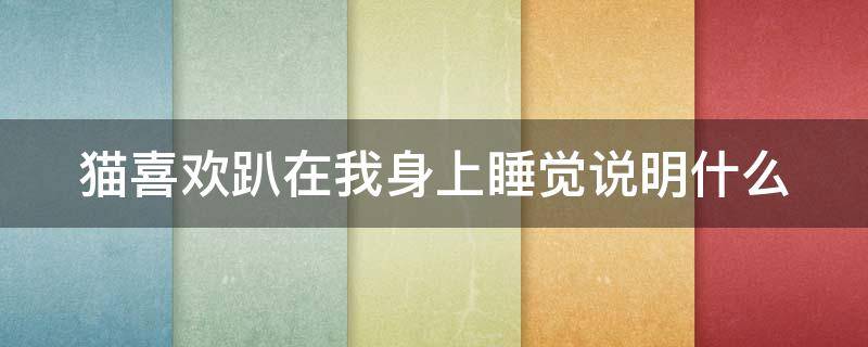 猫喜欢趴在我身上睡觉说明什么 猫咪喜欢趴在主人身边睡觉说明什么