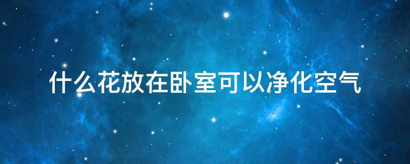 什么花放在卧室可以净化空气（哪种花放在卧室净化空气最好）