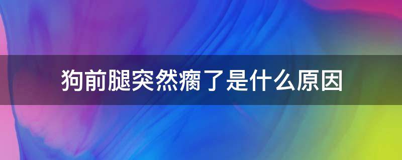 狗前腿突然瘸了是什么原因（狗狗突然前腿瘸）