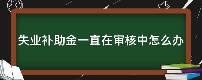 失业补助金一直在审核中怎么办