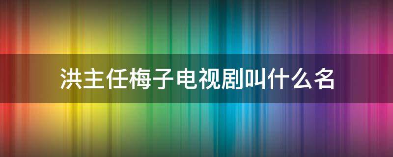 洪主任梅子电视剧叫什么名 洪主任梅子是什么电视