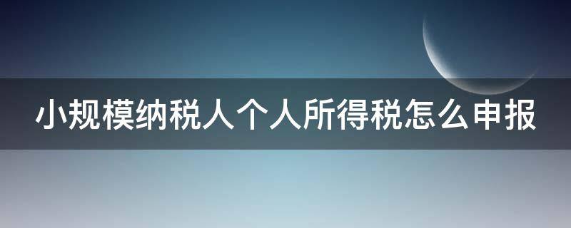 小规模纳税人个人所得税怎么申报 小规模纳税人个人所得税怎么申报怎么交