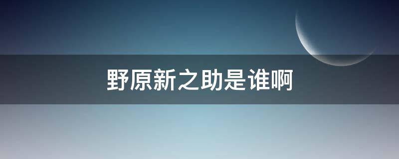 野原新之助是谁啊 野原新之助是谁?