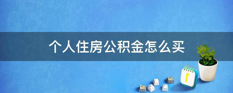 个人住房公积金怎么买（如何购买个人住房公积金）