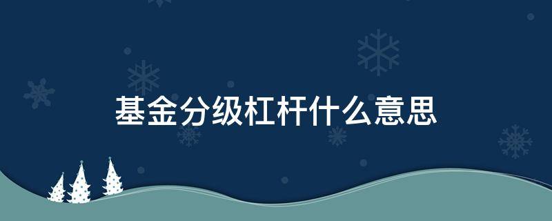 基金分级杠杆什么意思（分级基金b的杠杆是怎么产生的）