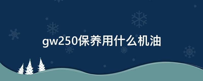 gw250保养用什么机油（gw250大保养需要保养什么）