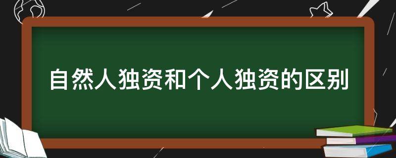 自然人独资和个人独资的区别（自然人独资与个人独资的区别）