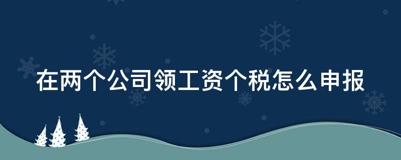 在两个公司领工资个税怎么申报（在两家公司领工资个税怎么办）