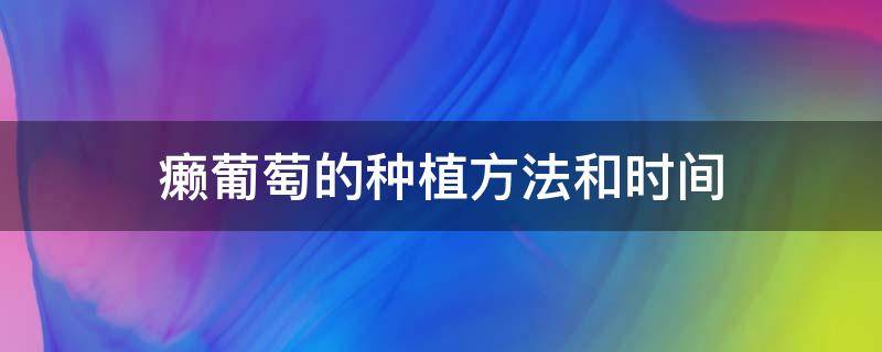 癞葡萄的种植方法和时间 癞葡萄啥时候种植