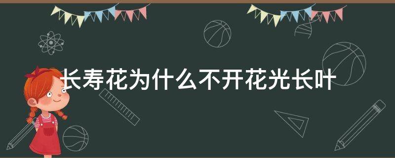 长寿花为什么不开花光长叶 长寿花为什么不开花光长叶怎么办