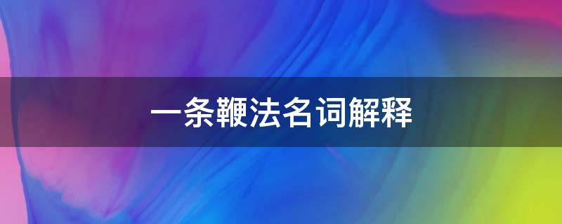 一条鞭法名词解释 牛鞭名词解释