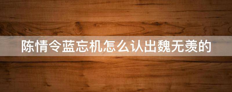 陈情令蓝忘机怎么认出魏无羡的 陈情令蓝忘机怎么认出魏无羡的第几集